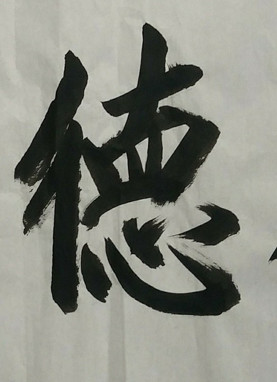 苏永强,中国书画家协会会员书法