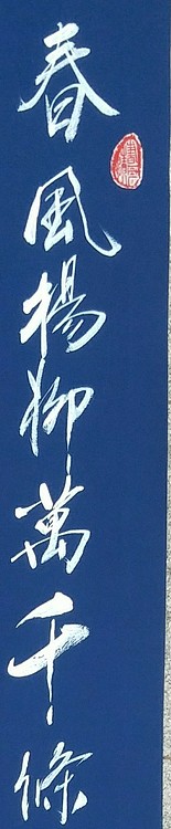 苏永强,中国书画家协会会员书法
