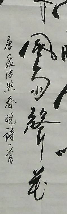 苏永强,中国书画家协会会员书法