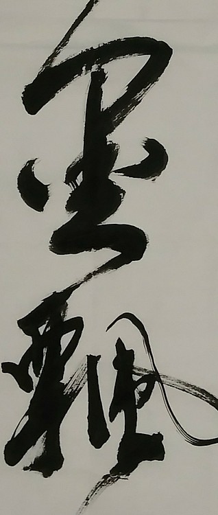苏永强,中国书法家之协会会员书法