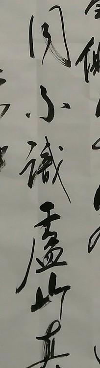 苏永强,中国书画家协会会员书法