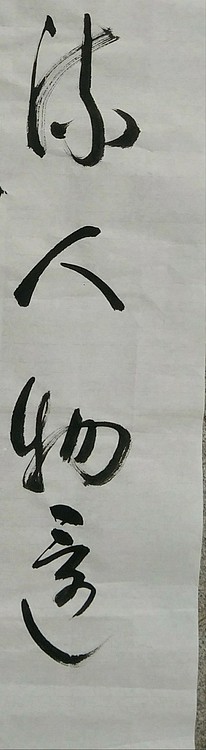 苏永强,中国书画家协会会员书法