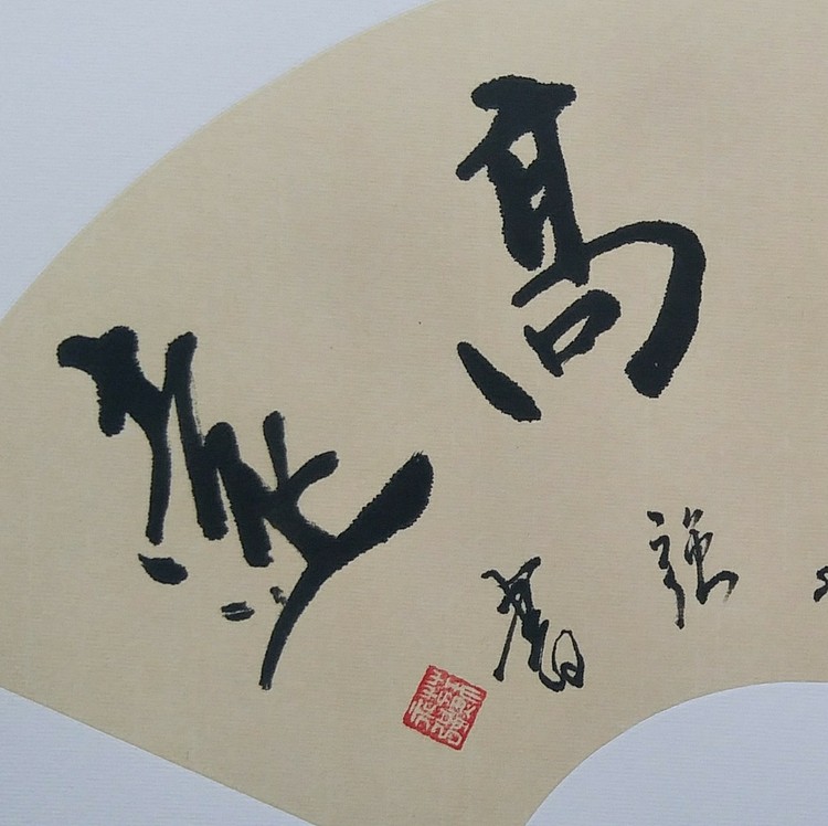 苏永强,中国书画家协会会员书法