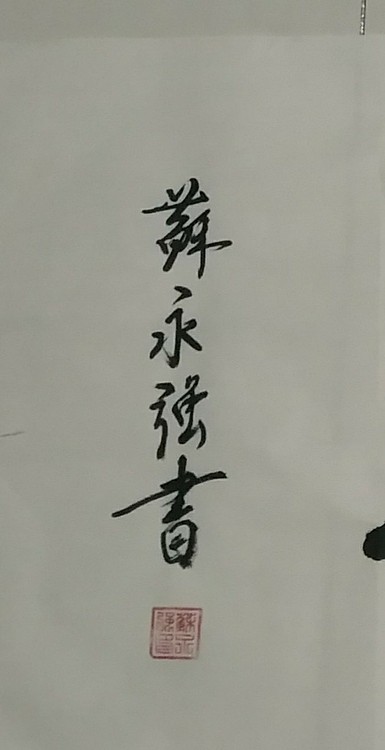苏永强,中国书画家协会会员书法