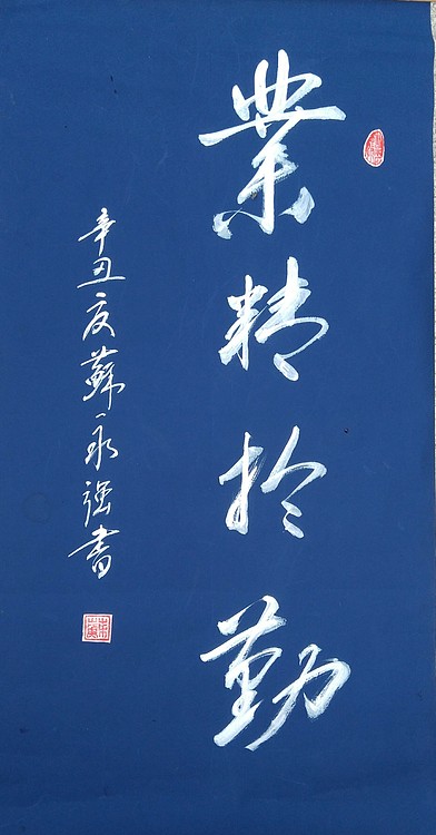 苏永强,中国书画家协会会员书法
