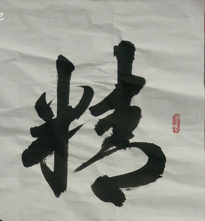 苏永强,中国书画家协会会员书法