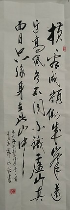苏永强,中国书画家协会会员书法