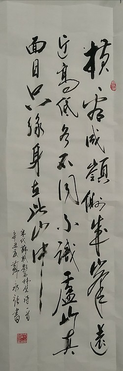 苏永强,中国书画家协会会员书法