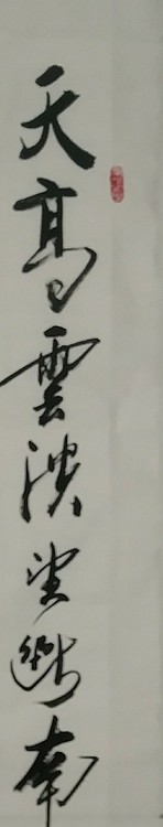 苏永强,中国书画家协会会员书法