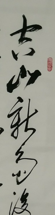 苏永强,中国书画家协会会员书法