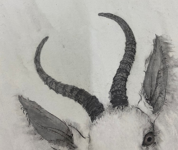 霍金云南师范大学国画系硕士 霍金 精品国画