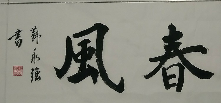 苏永强,中国书画家协会会员书法