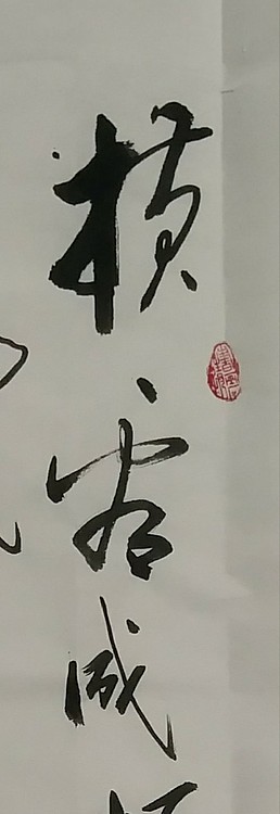 苏永强,中国书画家协会会员书法