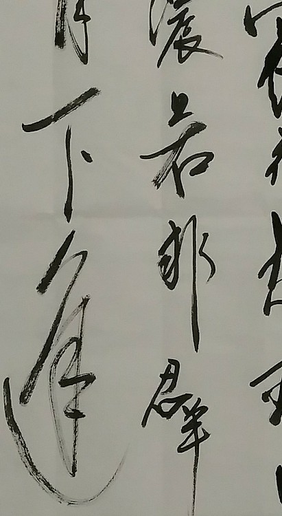 苏永强,中国书画家协会会员书法