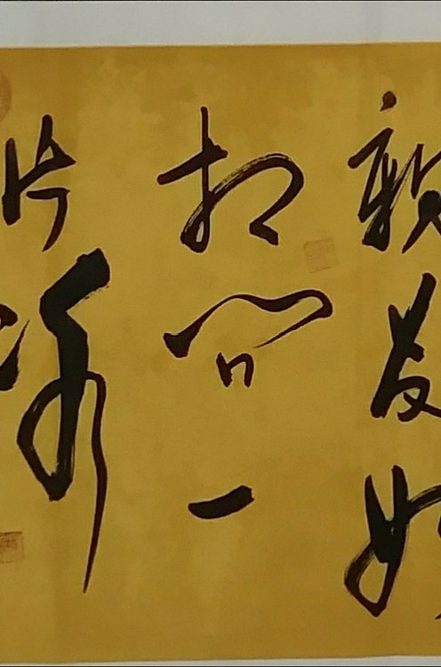 苏永强,中国书画家协会会员书法