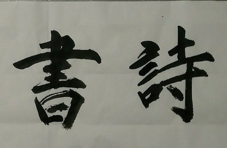 苏永强,中国书画家协会会员书法