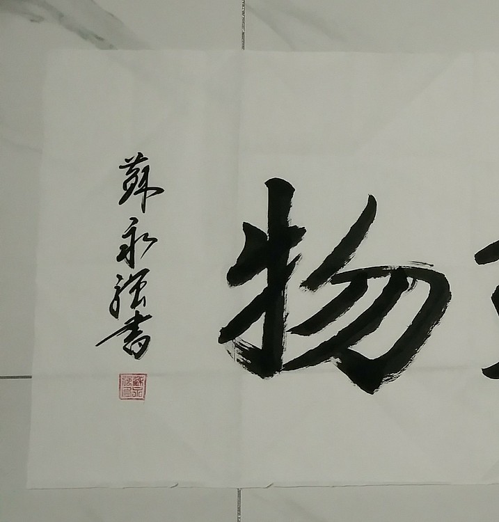 苏永强,中国书画家协会会员书法