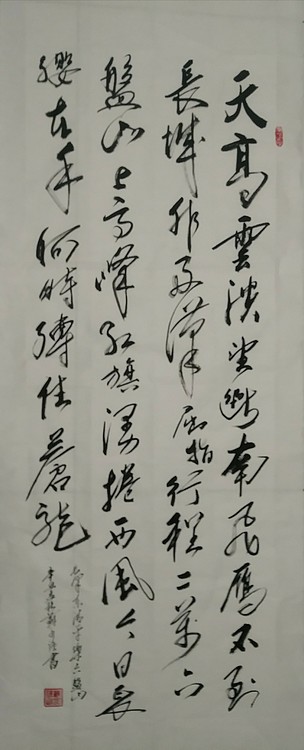 苏永强,中国书画家协会会员书法