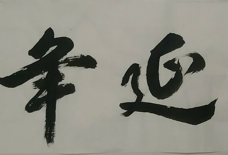苏永强,中国书画家协会会员书法