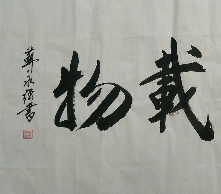 苏永强,中国书画家协会会员书法