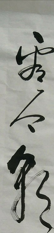 苏永强,中国书画家协会会员书法