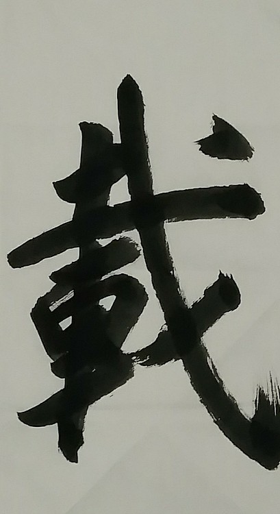 苏永强,中国书画家协会会员书法