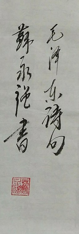 苏永强,中国书画家协会会员书法