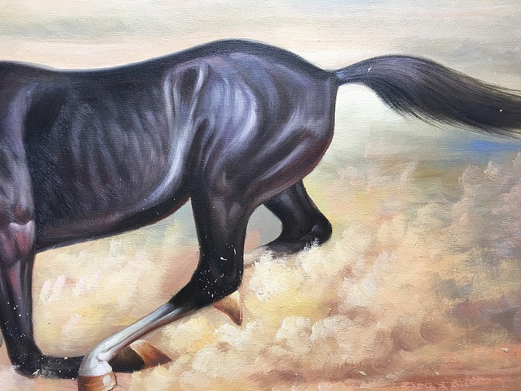 陈顺强手绘油画作品《腾飞》