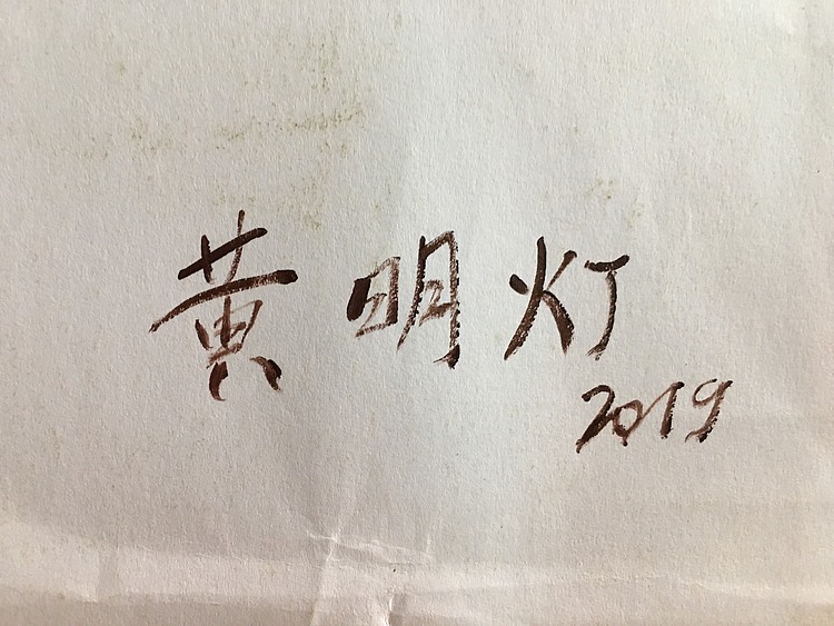 黄明灯手绘油画作品巜海鸥》
