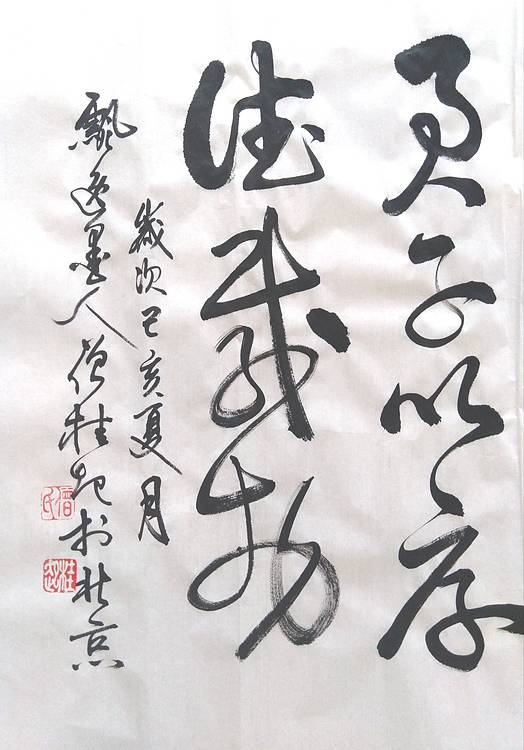 【做客中央电视台实力书法家飘逸墨人僧桂起】