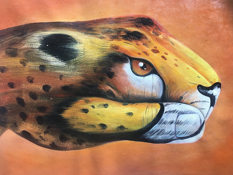 豹