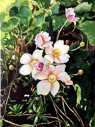 青年画家丁宁水彩作品&mdash;&mdash;小野花