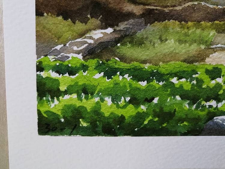 杨红威水彩版画作品       《呵护》