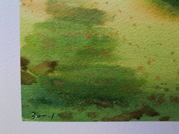 杨红威水彩版画作品       《晨光》