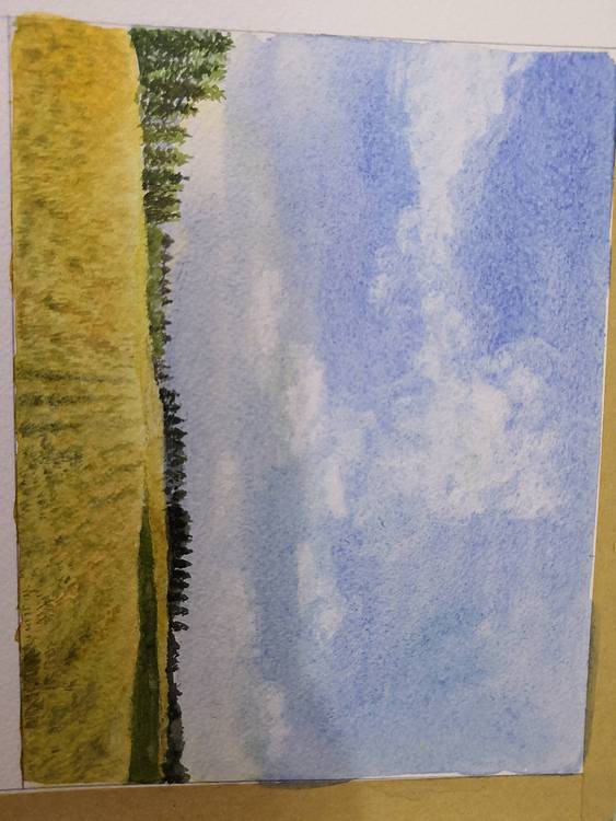 风景