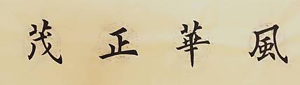 风华正茂
