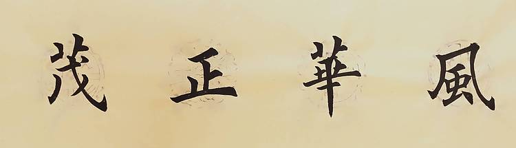 风华正茂