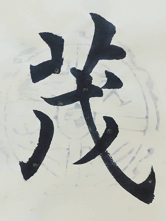 风华正茂