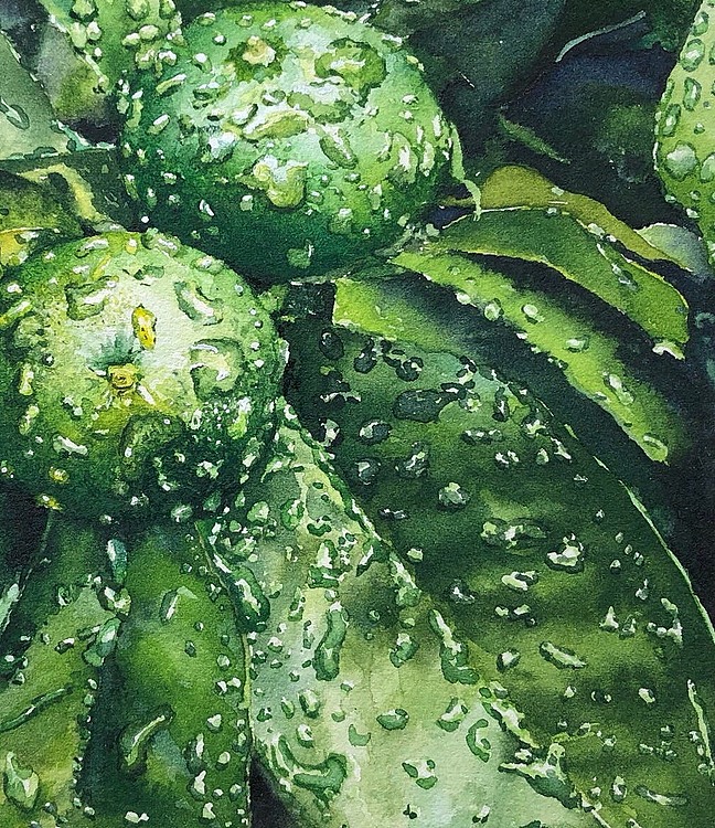 雨后