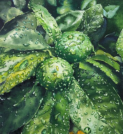 雨后