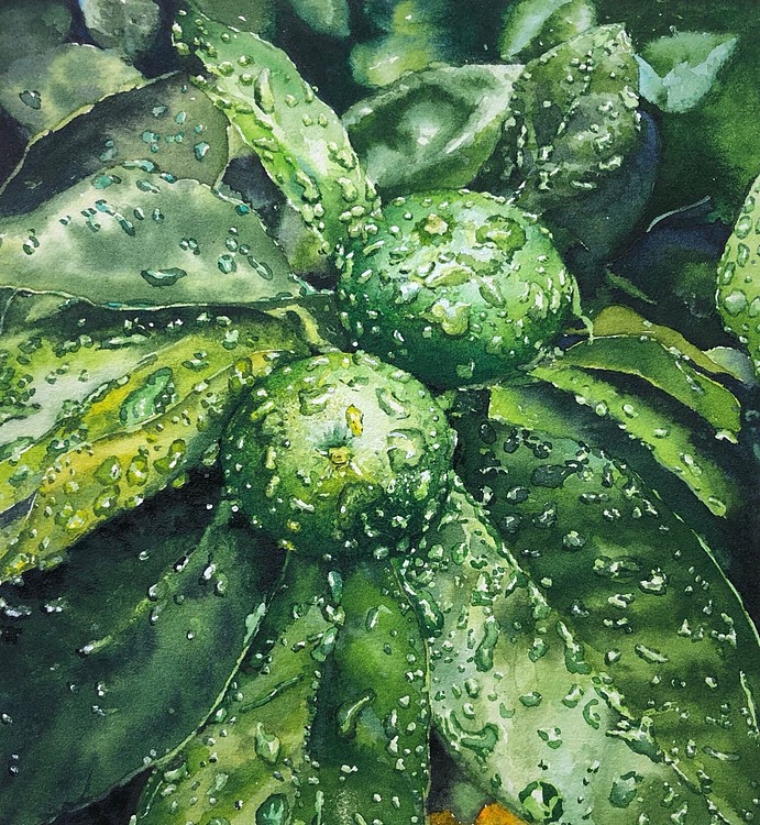 雨后