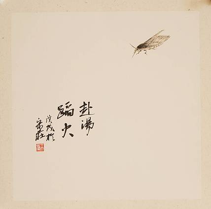 亓大鹏
