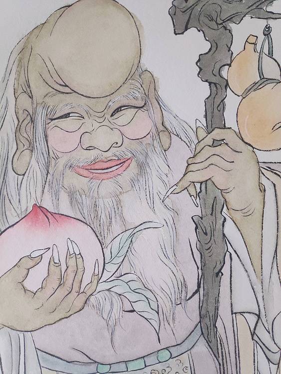 王新寿星