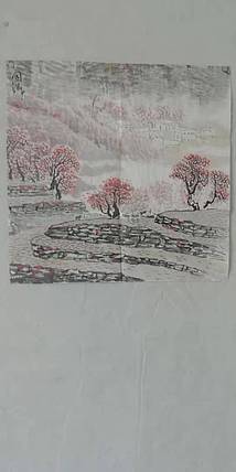 焦同洲    山水小品