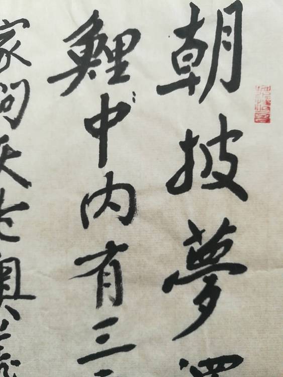 中国书法家协会会员王大军书法