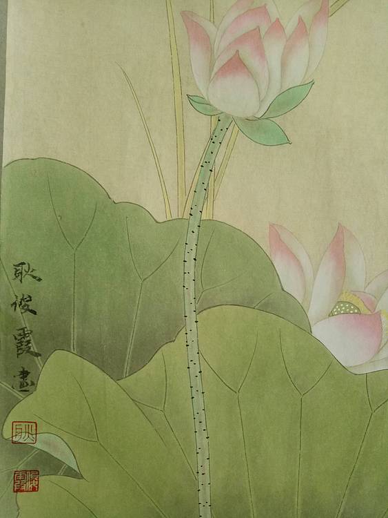 河北省美协会员  耿俊霞 工笔荷花