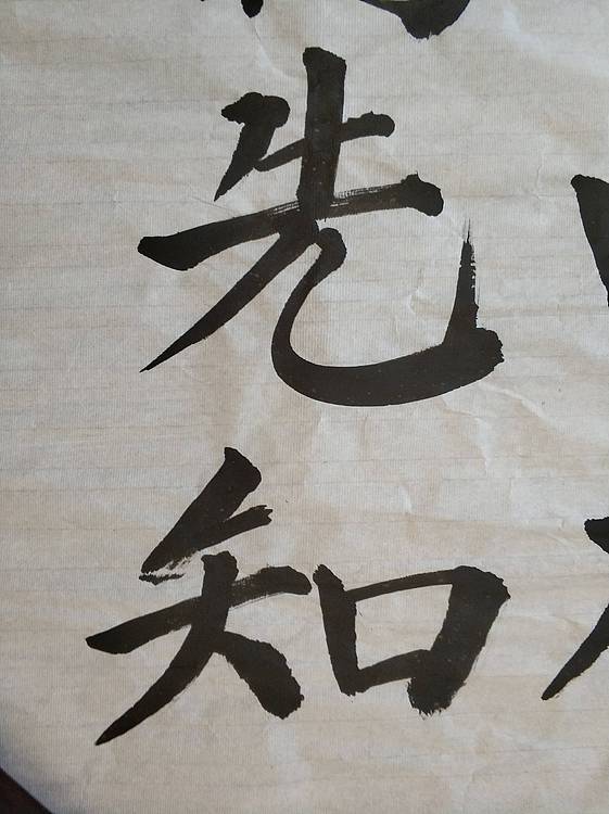 竹外桃花三两枝，春江水暖鸭先知。