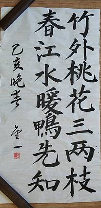 竹外桃花三两枝，春江水暖鸭先知。