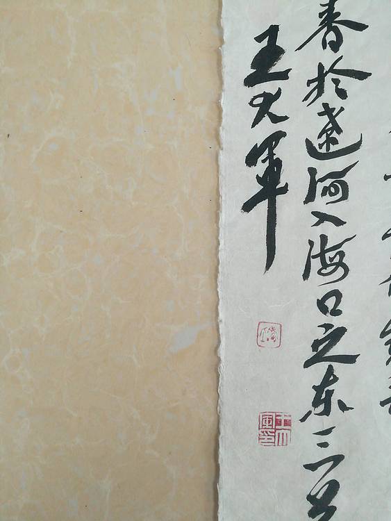 中国书法家协会会员王大军