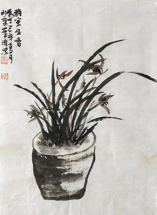淯滢  雅室生香